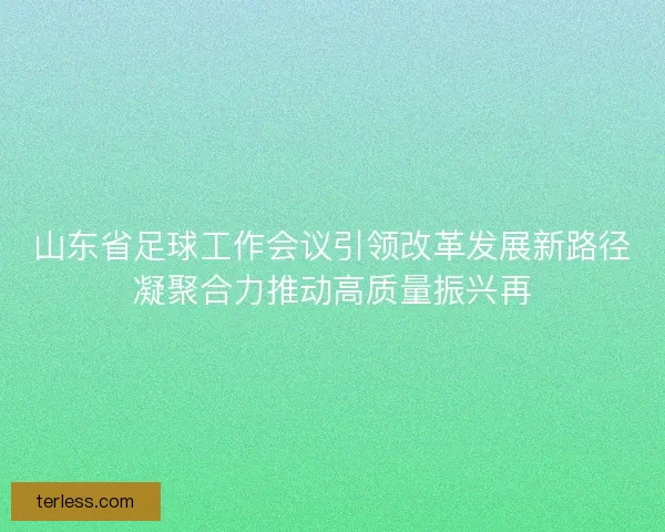 山东省足球工作会议引领改革发展新路径凝聚合力推动高质量振兴再