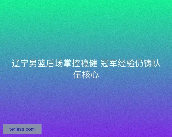 辽宁男篮后场掌控稳健 冠军经验仍铸队伍核心