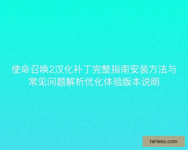 使命召唤2汉化补丁完整指南安装方法与常见问题解析优化体验版本说明